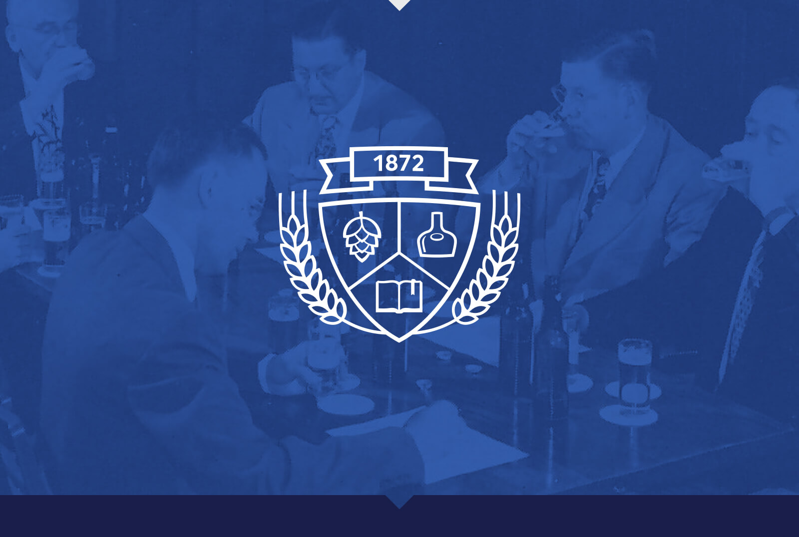 Siebel Institute of Technology - Rebrand - Seal