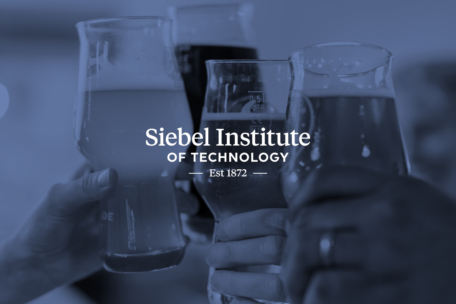 Siebel Institute of Technology - Rebrand